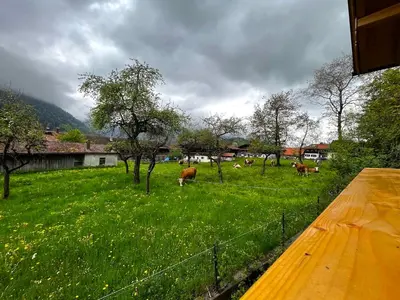 Naturlandschaft in der Nähe der Ferienwohnung
