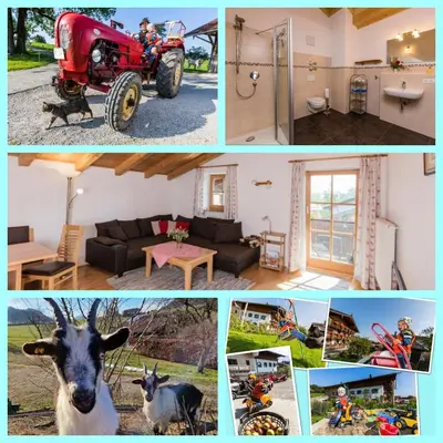 Tiere in der Ferienwohnung oder in der Nähe