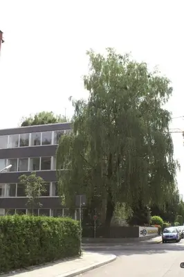 Die Umgebung um das Hotel