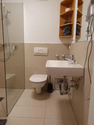 Ein Badezimmer in der Unterkunft Ferienwohnung BaMBi