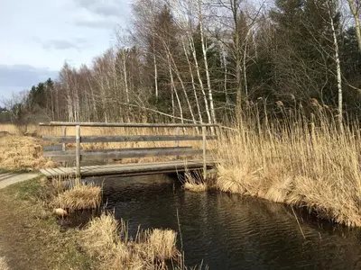 Naturlandschaft in der Nähe der Ferienwohnung