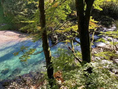Naturlandschaft in der Nähe der Ferienwohnung