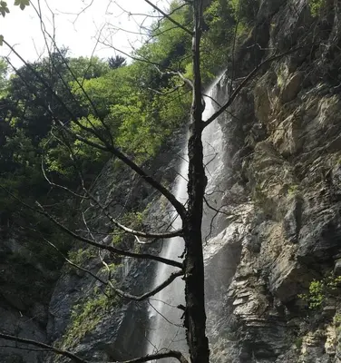 Naturlandschaft in der Nähe der Ferienwohnung