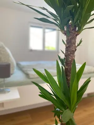 Ein Bett oder Betten in einem Zimmer der Unterkunft Gmiatliches Eck