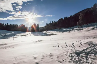 Hasenalm im Winter