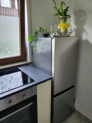 Küche/Küchenzeile in der Unterkunft Alpenblick mit super Bergblick und Terrasse