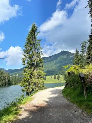 Naturlandschaft in der Nähe der Ferienwohnung