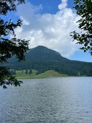 Naturlandschaft in der Nähe der Ferienwohnung