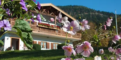 Ein allgemeiner Bergblick oder ein Berglick von der Ferienwohnung aus