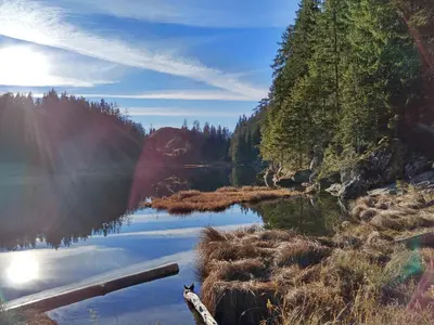Naturlandschaft in der Nähe der Ferienwohnung