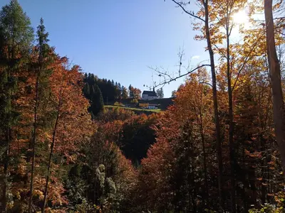 Naturlandschaft in der Nähe der Ferienwohnung