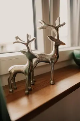 Tiere in der Ferienwohnung oder in der Nähe