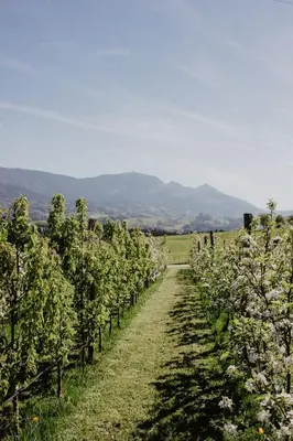 Naturlandschaft in der Nähe der Ferienwohnung