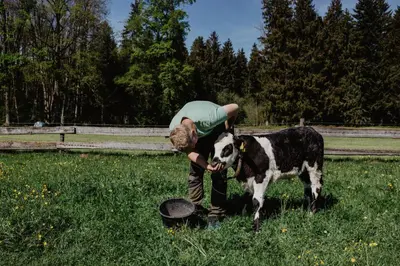 Tiere in der Ferienwohnung oder in der Nähe