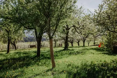 Ein Garten an der Unterkunft 4 Sterne Ferienwohnung Hochries