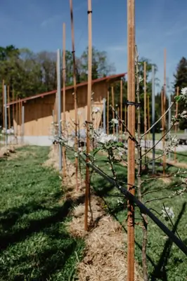 Ein Garten an der Unterkunft 4 Sterne Ferienwohnung Hochries