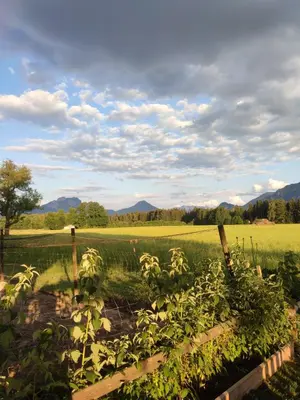 Naturlandschaft in der Nähe der Ferienwohnung