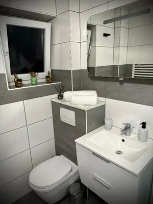Ein Badezimmer in der Unterkunft DeLuxe - Apartment ' Andrei 2 ' - Neu in Neuburg an der Donau