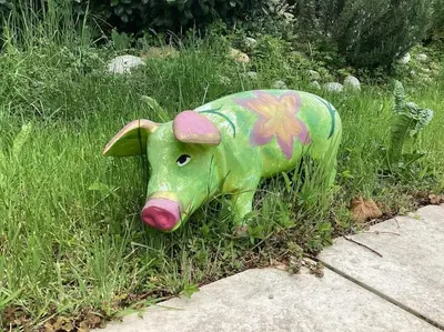 Tiere im Ferienhaus oder in der Nähe