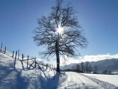 Gemütliche Alpenwohnung in Altenau im Winter