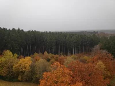 Naturlandschaft in der Nähe der Ferienwohnung