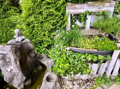 Ein Garten an der Unterkunft Casa Banniza