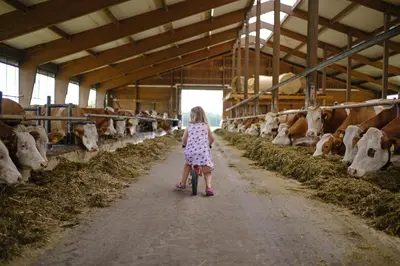 Kinder, die in der Unterkunft Huberhof Hinzing Ferienbauernhof übernachten