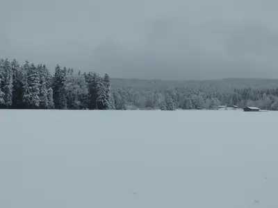 Schmidtler`s Nest im Winter