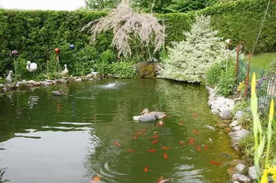 Blick auf einen Fluss in der Nähe der Ferienwohnung