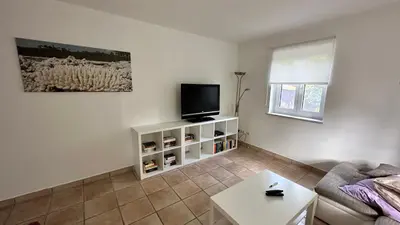 TV/Unterhaltungsangebot in der Unterkunft Ferienwohnung in Oberschondorf mit Terasse