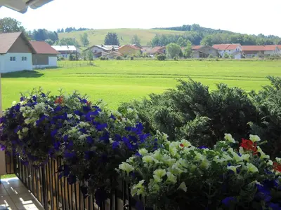 Ein Garten an der Unterkunft Gästehaus Reisacher - Mehrbettzimmer