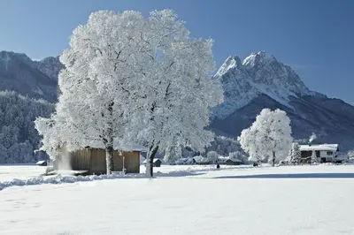 Luftikus Lodge im Winter