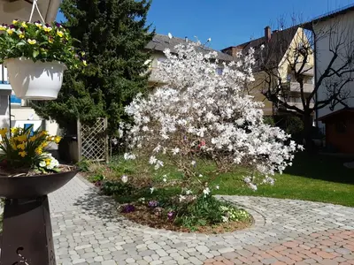 Ein Garten an der Unterkunft Hotel Marienhof