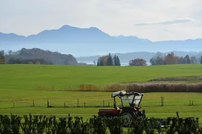 Naturlandschaft in der Nähe der Ferienwohnung