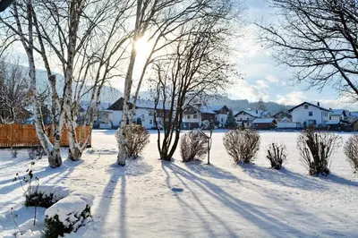 Birkenwind im Winter
