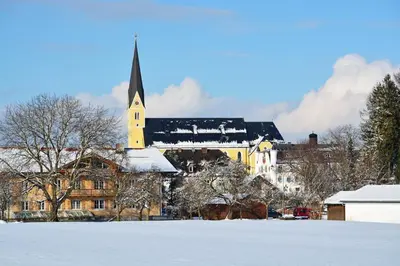 Birkenwind im Winter