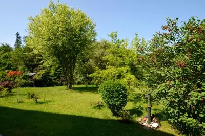 Ein Garten an der Unterkunft Gartenparadies