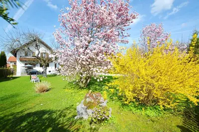 Ein Garten an der Unterkunft Haus Magnolia
