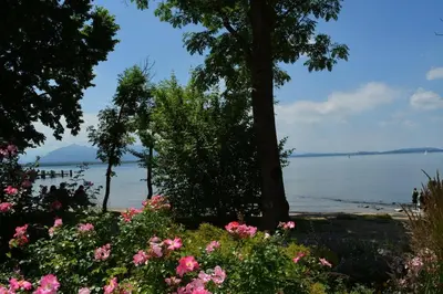 Naturlandschaft in der Nähe der Ferienwohnung