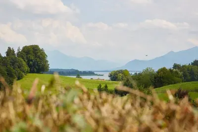 Naturlandschaft in der Nähe des Ferienhauses