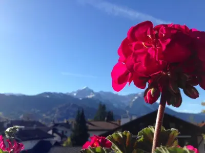 Ein allgemeiner Bergblick oder ein Berglick von der Ferienwohnung aus