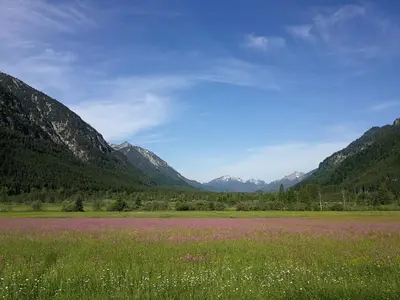 Naturlandschaft in der Nähe der Ferienwohnung