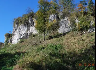 Naturlandschaft in der Nähe der Ferienwohnung