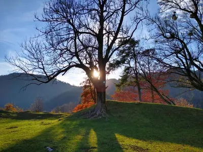 Naturlandschaft in der Nähe der Ferienwohnung