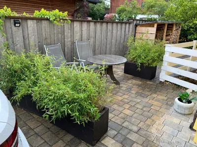 Ein Garten an der Unterkunft Großzügige Ferienwohnung im Oberland