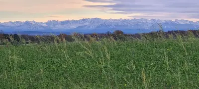Naturlandschaft in der Nähe der Ferienwohnung