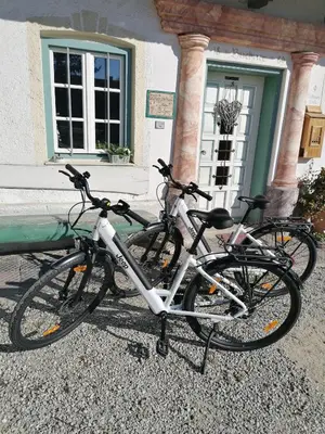 Radfahren an der Unterkunft Ferienhof Moyer oder in der Nähe