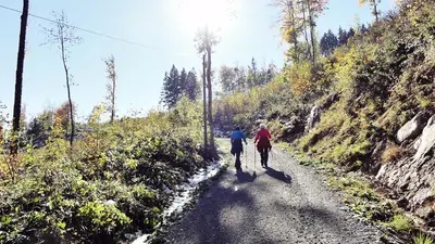 Gäste, die in der Unterkunft Landhaus Falkennest übernachten
