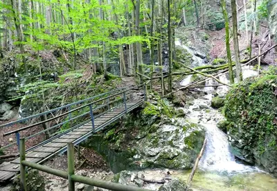 Naturlandschaft in der Nähe der Ferienwohnung