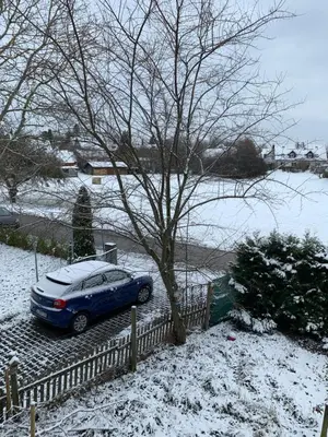 Maya im Winter